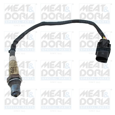 Oxygen Sensor
